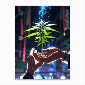 Marijuana Plant In Hands Canvas Print