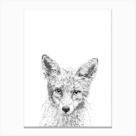 Fox Animal Print Canvas Print