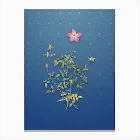 Vintage Single Dwarf Chinese Rose Botanical on Bahama Blue Pattern n.2020 Canvas Print