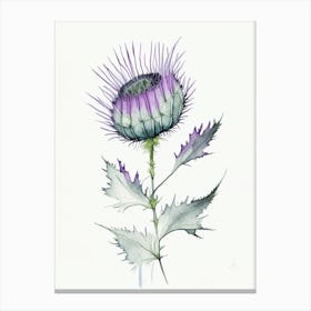 Milk Thistle Herb Minimalist Watercolour 1 Canvas Print