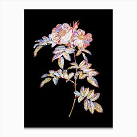 Stained Glass Shining Rosa Lucida Mosaic Botanical Illustration on Black n.0132 Canvas Print