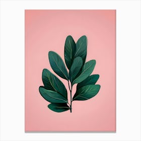 Green Leaf On Pink Background Canvas Print