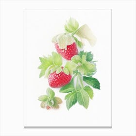 Alpine Strawberries, Plant, Pastel Watercolour Canvas Print