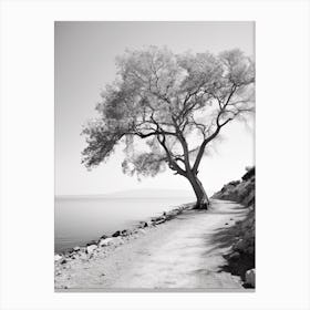 Gallipoli, Italy, Black And White Photography 4 Canvas Print