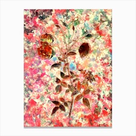 Impressionist Red Rose Botanical Painting in Blush Pink and Gold Canvas Print
