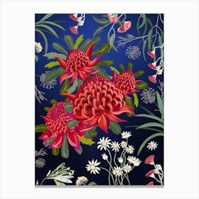 Waratah Australian Flower Red Canvas Print