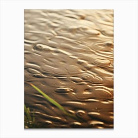 Rain Drops On Water Canvas Print