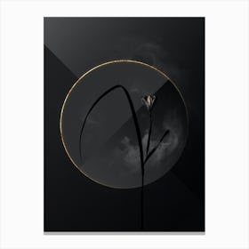 Shadowy Vintage Cape Tulip Botanical on Black with Gold Canvas Print