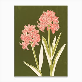 Pink & Green Hyacinth 1 Canvas Print