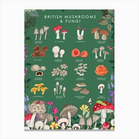British Mushrooms And Fungi Canvas Print