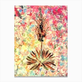 Impressionist Adam's Needle Botanical Painting in Blush Pink and Gold n.0030 Canvas Print