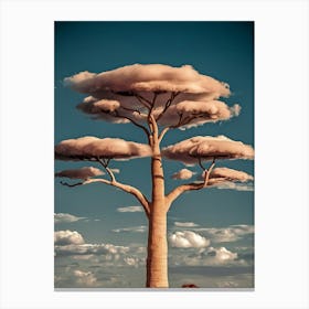 Baobab Tree Canvas Print