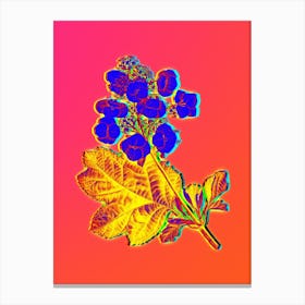 Neon Oakleaf Hydrangea Botanical in Hot Pink and Electric Blue n.0546 Canvas Print