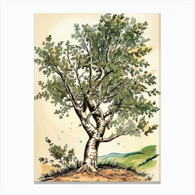 Alder Tree Storybook Illustration 2 Canvas Print