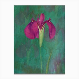 Purple Iris 2 Canvas Print