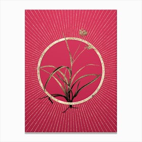 Gold Spiderwort Glitter Ring Botanical Art on Viva Magenta n.0313 Canvas Print