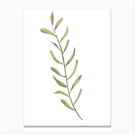 Watercolor Leaf Canvas Print