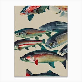 Rainbow Shark Vintage Graphic Watercolour Canvas Print