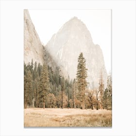 Yosemite Landscape Canvas Print