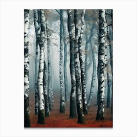 Birch Forest 90 Canvas Print
