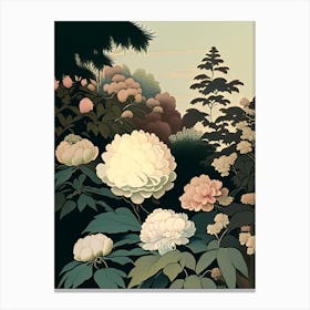 Japanese Peonies In A Garden 2 Vintage Sketch Canvas Print