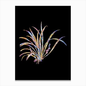 Stained Glass Sansevieria Carnea Mosaic Botanical Illustration on Black n.0164 Canvas Print