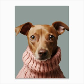 Dog In Pink Sweater Canvas Print