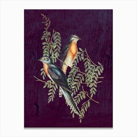 Two Birds Perched On A Branch Canvas Print