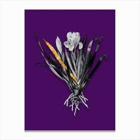 Vintage Crimean Iris Black and White Gold Leaf Floral Art on Deep Violet n.0079 Canvas Print
