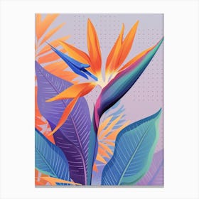 Bird Of Paradise 55 Canvas Print