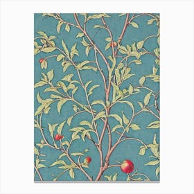 Apple tree Vintage Botanical Canvas Print