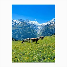 Cows Grazing On Lush Green Pastures Dotted With Pretty Wildflowers In A Switzerland Alpine Landsca Canvas Print