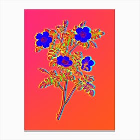 Neon White Candolle's Rose Botanical in Hot Pink and Electric Blue n.0436 Canvas Print