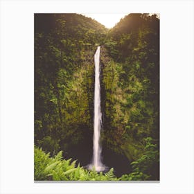 Waterfall In Hawaii - Rainforest Landscape Canvas Print