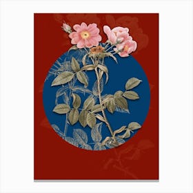 Vintage Botanical Lady Monson Rose Bloom on Circle Blue on Red n.0293 Canvas Print