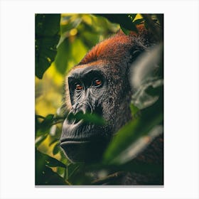 Gorilla In The Forest Canvas Print