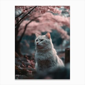 Cat In Cherry Blossoms 8 Canvas Print