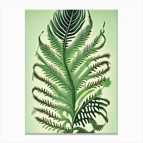 Tassel Fern 2 Vintage Botanical Poster Canvas Print