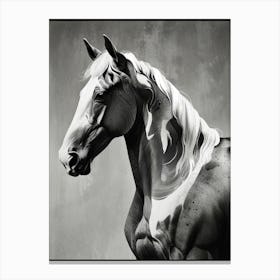 Horse Portrait Canvas Print