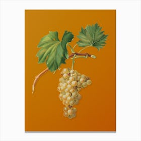 Vintage Grape Vine Botanical on Sunset Orange n.0810 Canvas Print