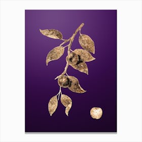 Gold Botanical Cherry Plum on Royal Purple Canvas Print