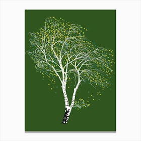 Birch Tree Canvas Print