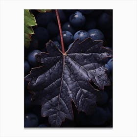 Black Grapes 3 Canvas Print