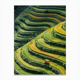 Rice Terraces In Vietnam 1 Canvas Print