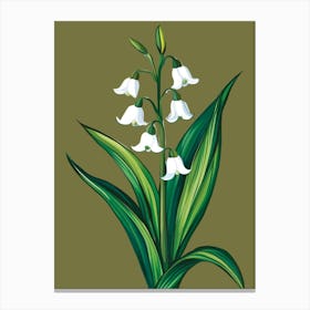 Lily Of The Valley 12 Canvas Print