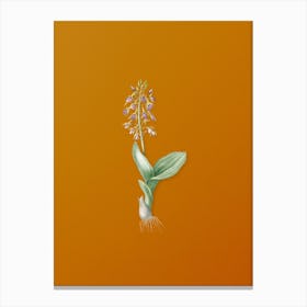 Vintage Brown Widelip Orchid Botanical on Sunset Orange n.0362 Canvas Print