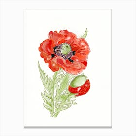 Poppy Flower 2 Canvas Print