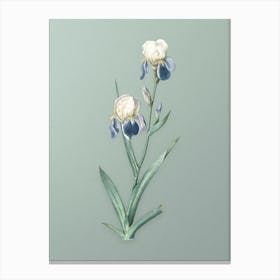 Vintage Elder Scented Iris Botanical Art on Mint Green Canvas Print
