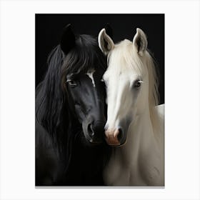 Bw Horses 2 Canvas Print