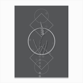 Vintage Ixia Cepacea Botanical with Line Motif and Dot Pattern in Ghost Gray n.0088 Canvas Print
